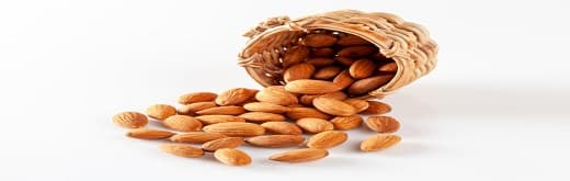 Almond Market – Trade, Genesis &amp; Characteristics