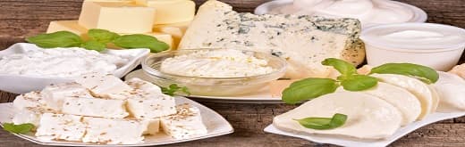 Dairy Ingredients Market Growth – Reinforcing Dairy Protein Consumption