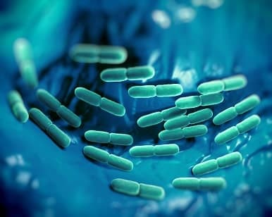 Growing Trend for Probiotics Food