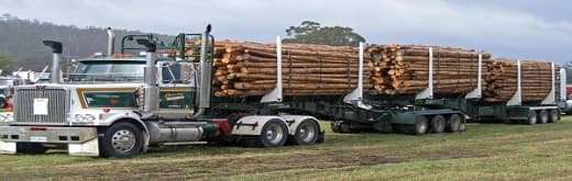 Timber Trailers - Wood Carriers Serving Needs of Different Industries