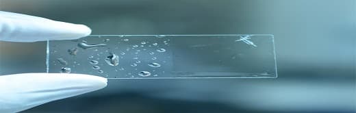 Diverse Industrial Applications Driving the Transparent Ceramics Market Growth