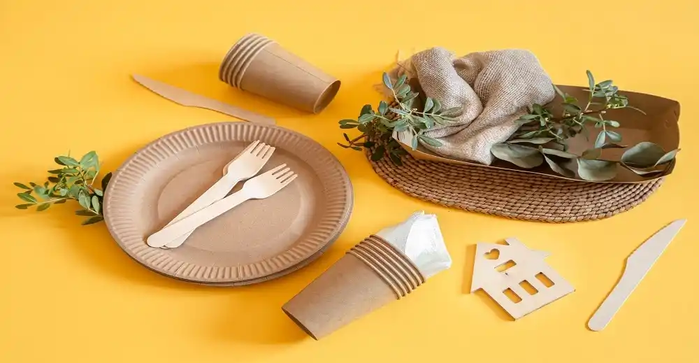 Top Innovations in Biodegradable Packaging Materials for a Sustainable Future