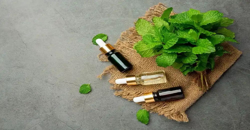 Peppermint Essential Oil Market expected to reach USD 444.194 million by 2030