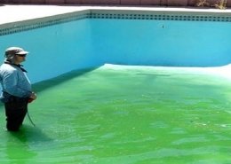 algaecide market