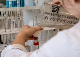 amino acids market