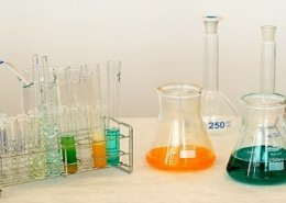 amino acids market