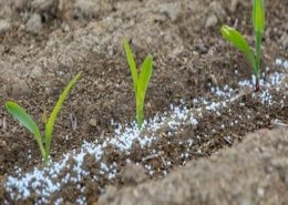 crop micronutrients market