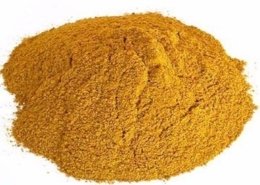 gluten feed market