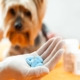 human drugs for veterinary use market