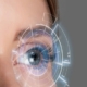 iris recognition market