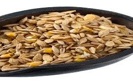 organic feed market