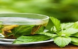 Organic Tea Market