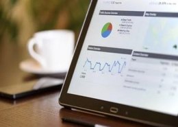 portfolio management system market