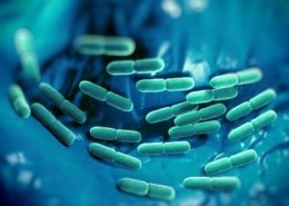probiotics market
