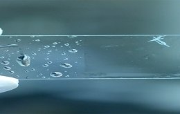 transparent ceramics market