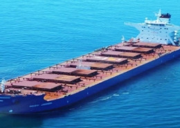 dry bulk shipping market