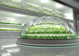 LED farming market