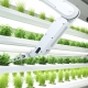 LED Farming Market