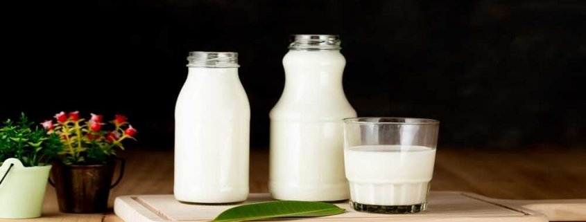 dairy packaging market