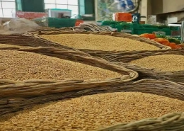 grain fumigants market