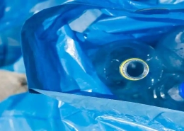 bio pet film market