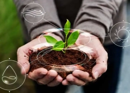 decarbonization market