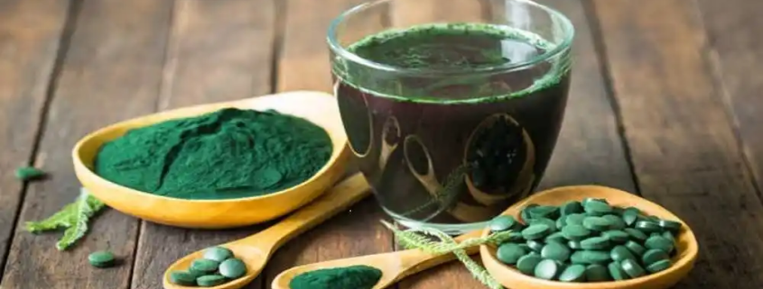 algae protein market