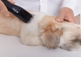 pet hair care market