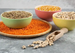 lentil protein market