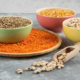 lentil protein market