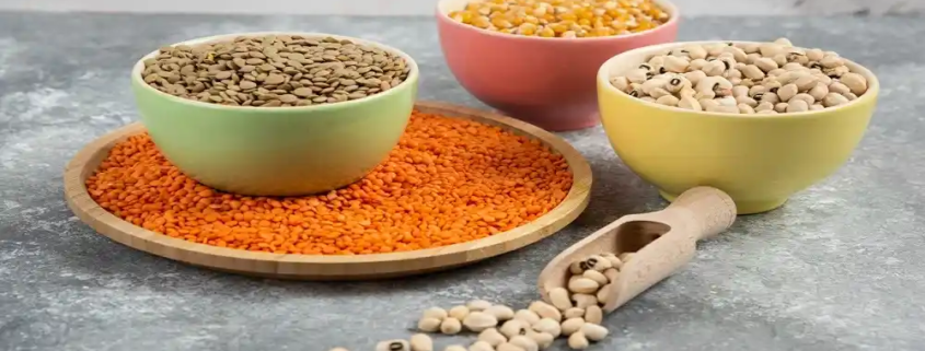 lentil protein market