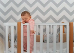 baby safety gate and bedrail market