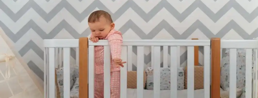 baby safety gate and bedrail market