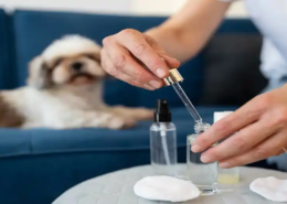 cbd pet care market