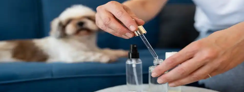 cbd pet care market