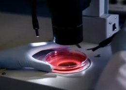 microparticles market