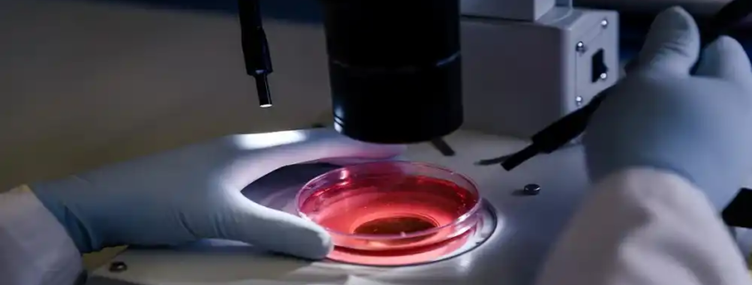 microparticles market