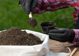 bio-organic fertilizer market