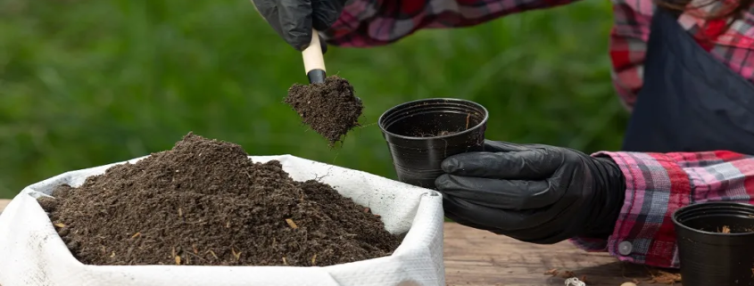 bio-organic fertilizer market