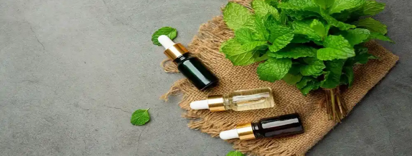 peppermint essential oil market