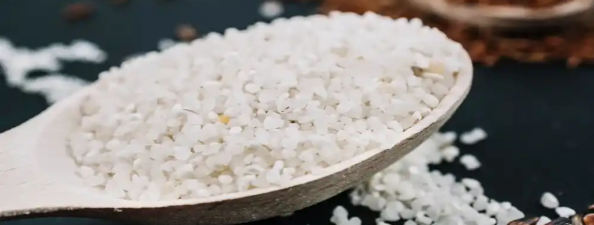 saturated polyester resins market